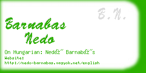 barnabas nedo business card